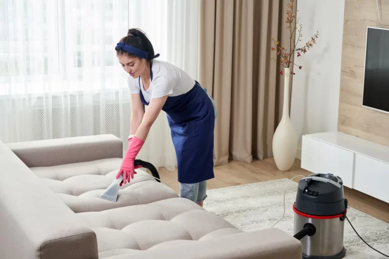 1724131557297-couch-cleaning_jpg (1)